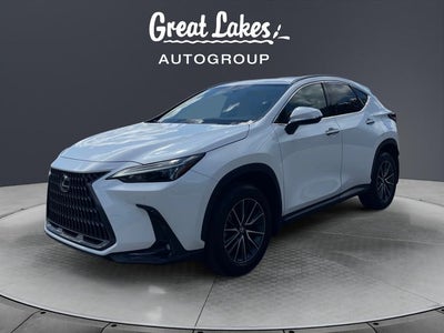 2024 Lexus NX 350h Premium