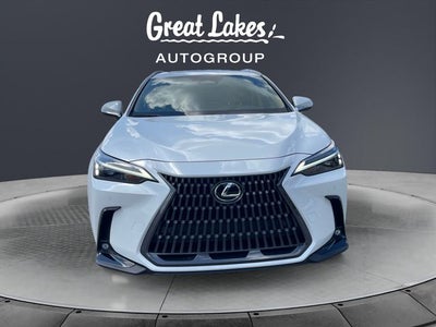 2024 Lexus NX 350h Premium