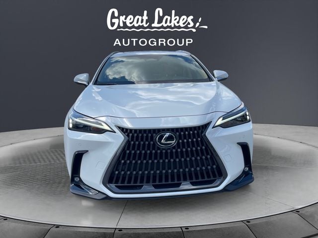 2024 Lexus NX 350h Premium