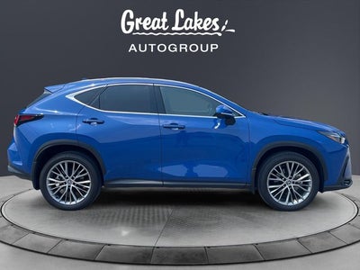 2024 Lexus NX 350 Luxury