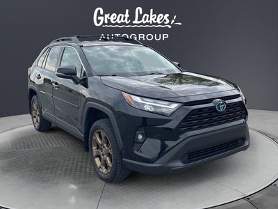 2023 Toyota RAV4 Hybrid Woodland Edition
