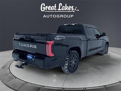 2022 Toyota TUNDRA 4X4 Platinum